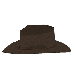 Cowboy Hat 1